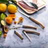 Нож филейный OPINEL №12, нержавеющая сталь, рукоять из дерева бука 002560